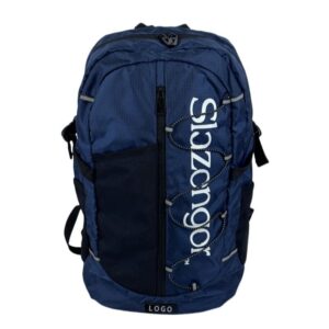 College Student School Bag