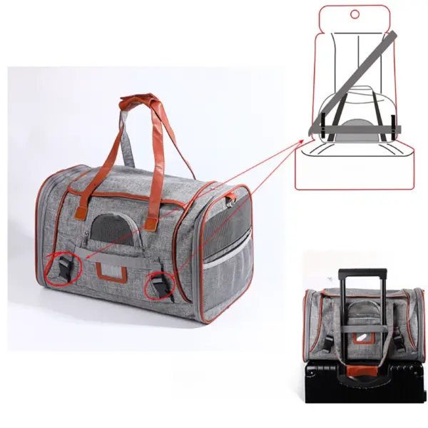 High Quality Portable Dog Folding Backpack Travel Cat Transparent Cabin Carrier Puppy Kitten Pet Bag - Image 7